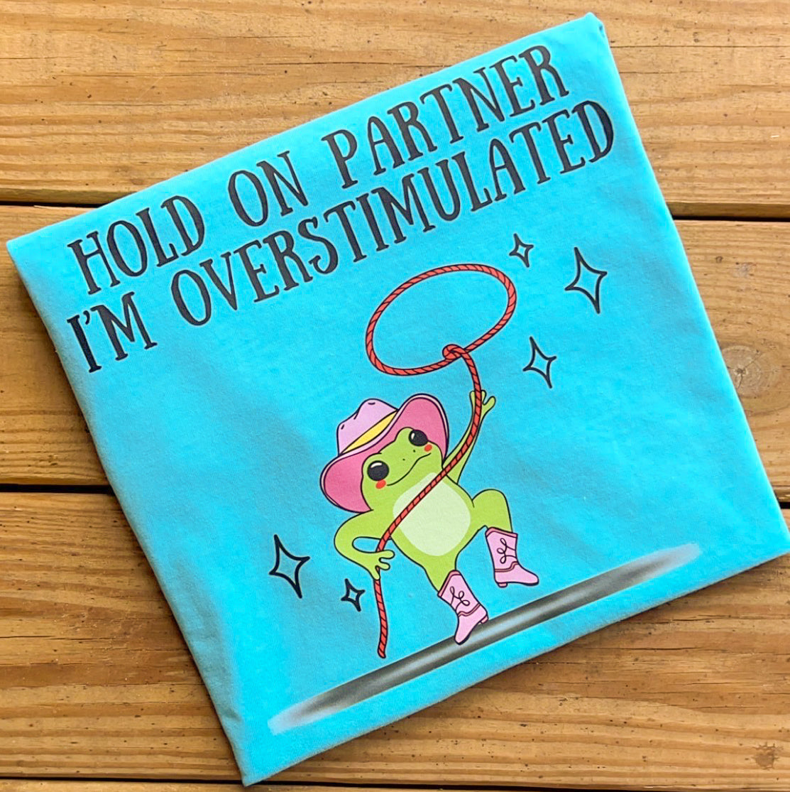 Hold On Partner - Comfort Colors