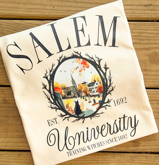 Salem University - Comfort Colors