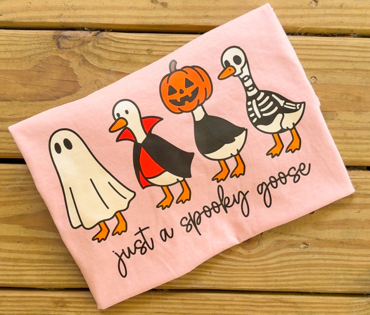 Just a Spooky Goose - Comfort Colors
